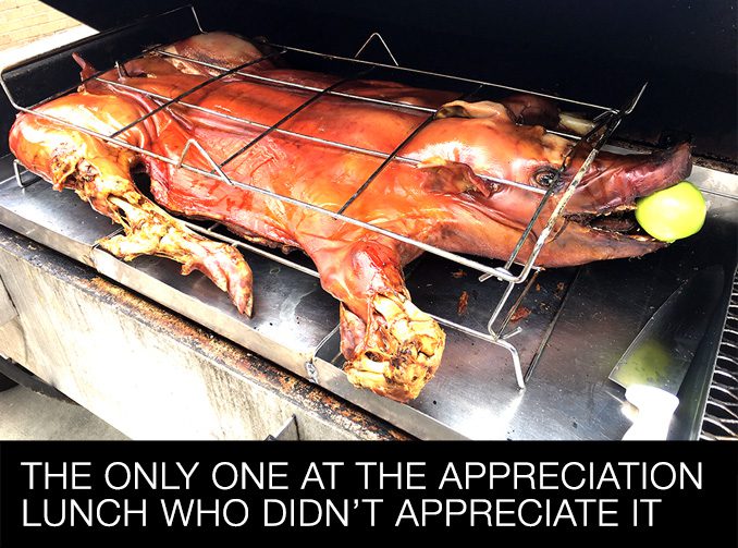 This Whole Pig Was the Only One at the Appreciation Lunch who Didn't Appreciate It. This Whole Pig Was the Only One at the Appreciation Lunch who Didn't Appreciate It.